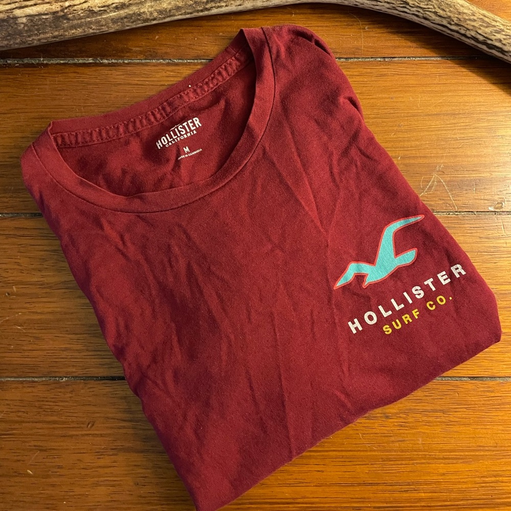 Men’s Hollister Graphic Tee